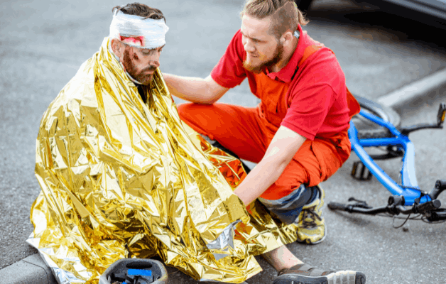 Couverture de Survie